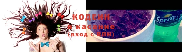 гашик Липки