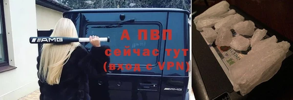 гашик Липки