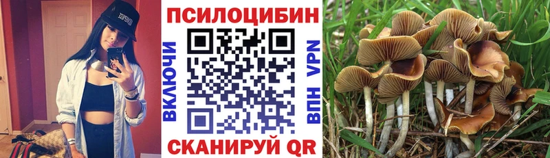 MEGA ССЫЛКА  Покровск  Галлюциногенные грибы Cubensis 